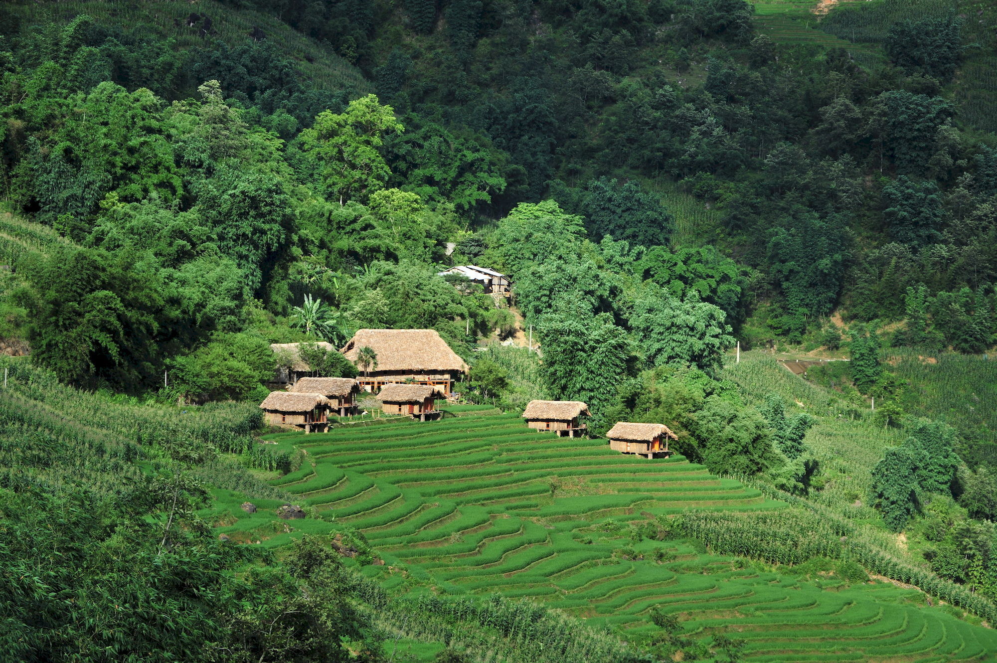 Eco Palms House - Sapa Retreat Hotell Exteriör bild